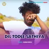 Dil Todle Sathiya